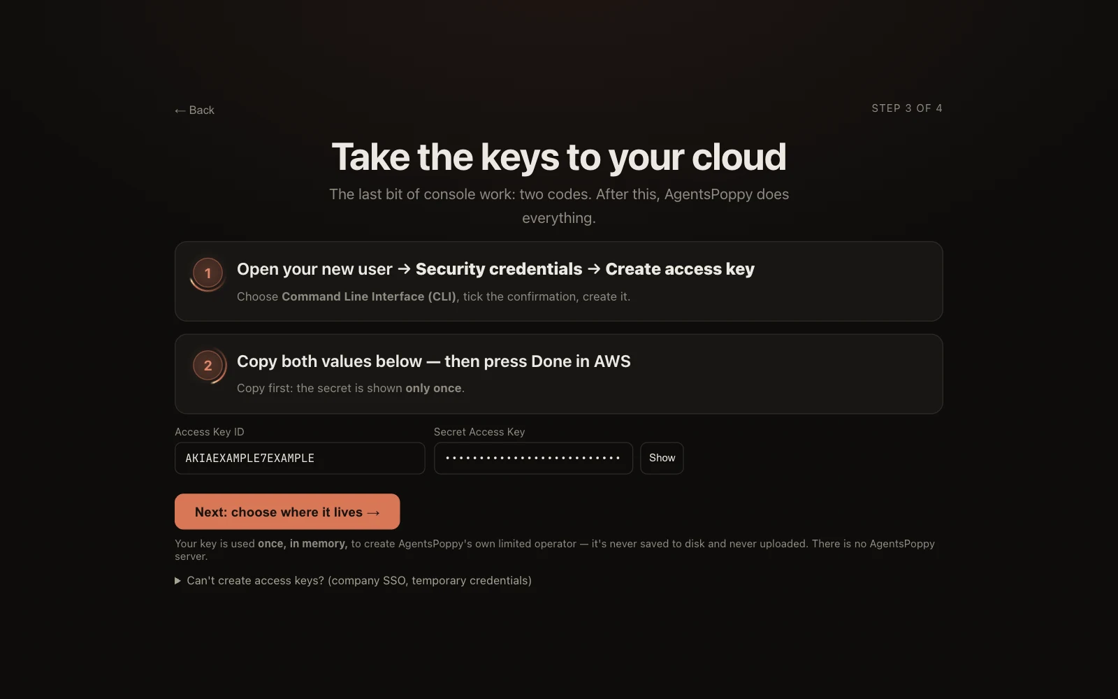 Step 3 of the setup: Take the keys to your cloud — two short steps in the AWS console, then the Access Key ID and Secret Access Key fields.